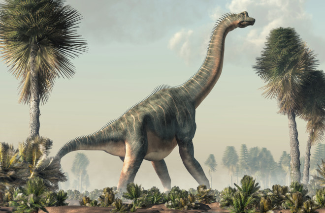 Brachiosaurus, sauropod dinosaur standing in a wetland