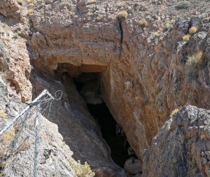 The Unexceptional Devil's Hole Pupfish 