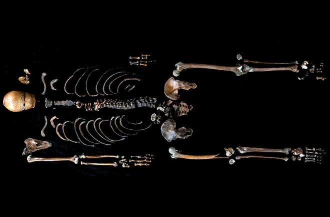 Identified Bones of ‘Well Man’ Match 800-Year-Old Norse Saga