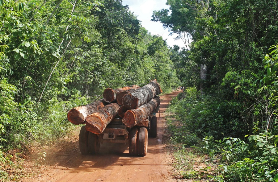 Timber Haul, Noh-Bec, Mexico - Peter Ellis - DSC-NT1216 02