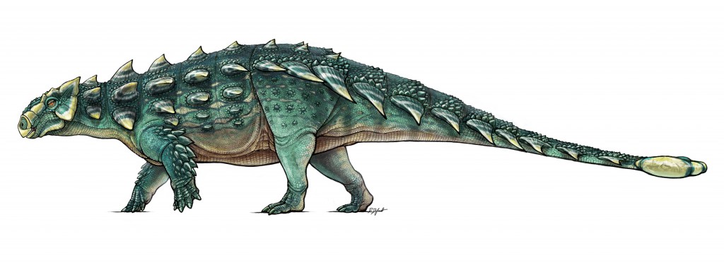 Zuul-colour-1024x372.jpg