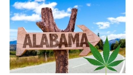 Is Delta-8 THC Legal to Buy in Alabama? thumbnail