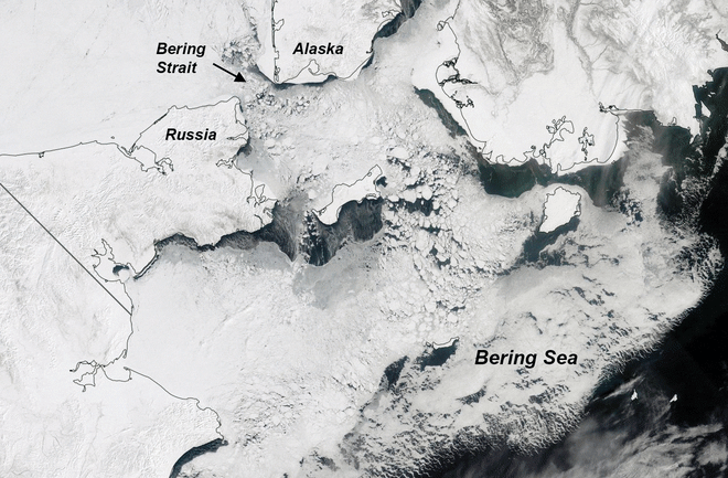 Bering-Sea.gif