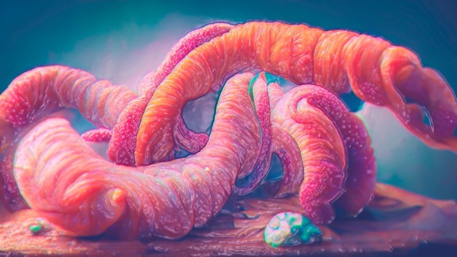 The Biggest Parasite Can Grow up to 30 Feet Long, and Live in Your Stomach