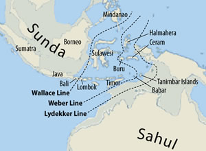 661px-Map_of_Sunda_and_Sahul