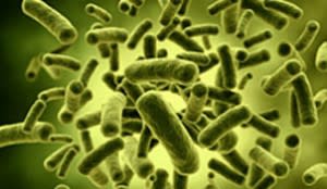 ubiome-300x174.jpg