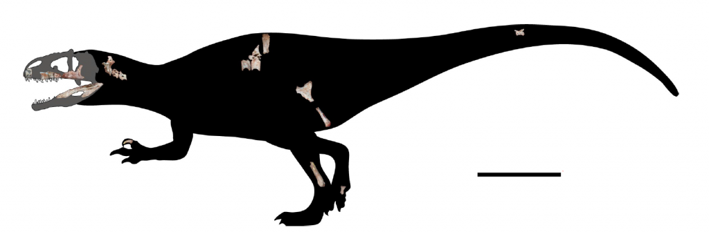 Siamraptor-fulllength-1024x336
