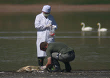 bird-flu-doctors.jpg