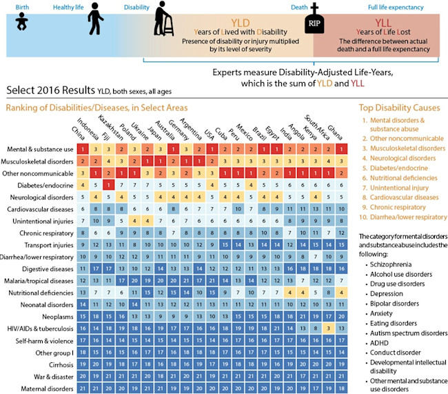 Measuring the Global Burden of Disease