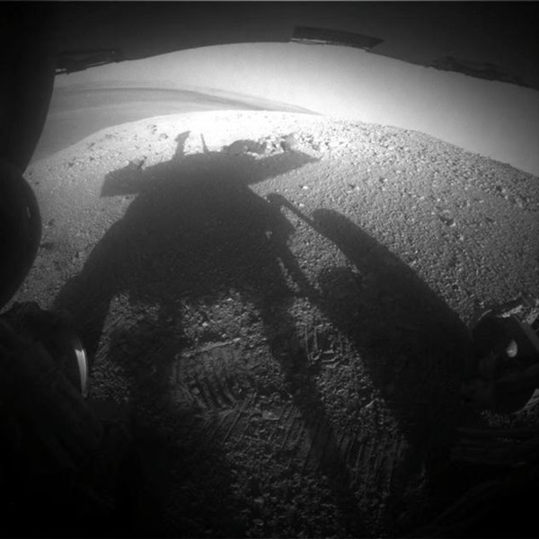 OppyShadow.jpg