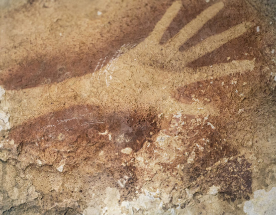 Prehistoric Cave Art Discovered In The Tropics Discover Magazine