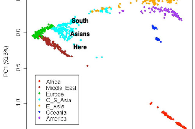populationsmyer.jpg
