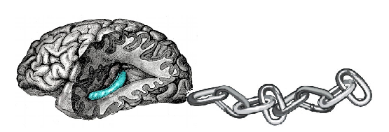 linked_brain.png