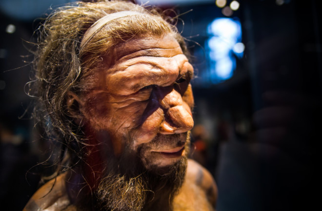 Neanderthal model at the Natural History Museum London