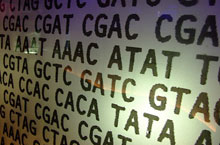 genetic-code.jpg