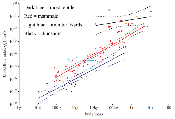 Blood-flow-index.jpg