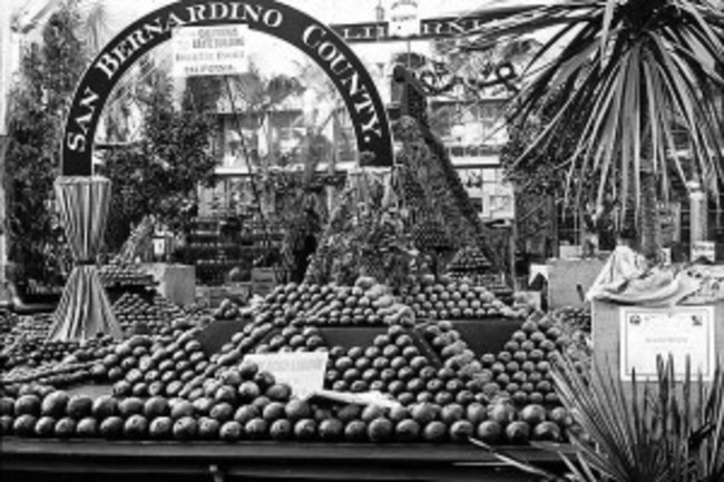 633px-Worlds_Columbian_Exposition-_Horticultural_Building_Chicago_United_States_1893.-300x283.jpg