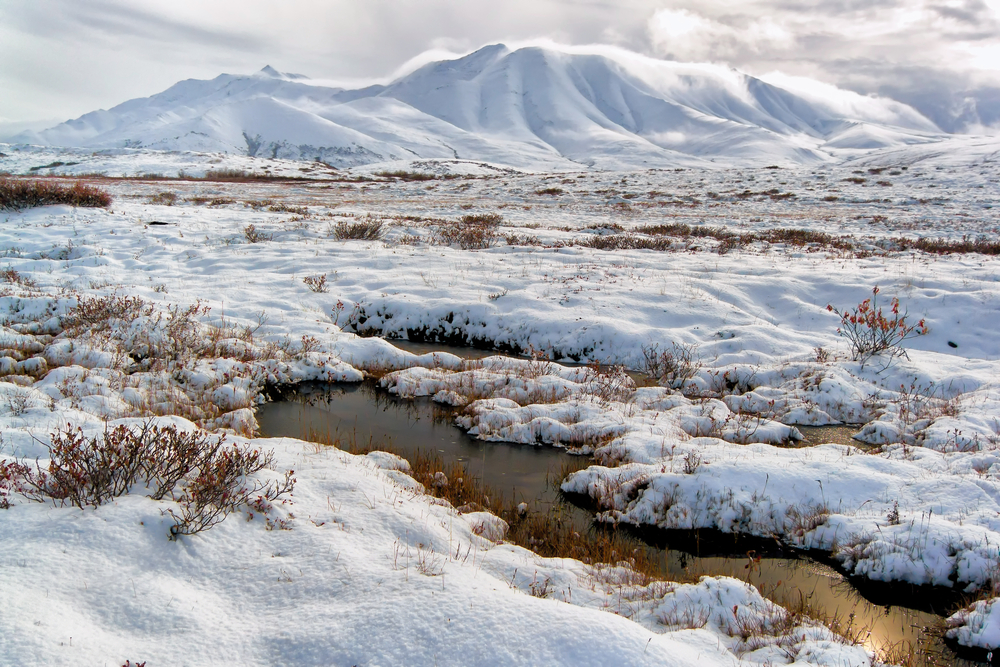 Permafrost Thaw and Wildfires Are Raising CO2 Emissions in Arctic Tundras