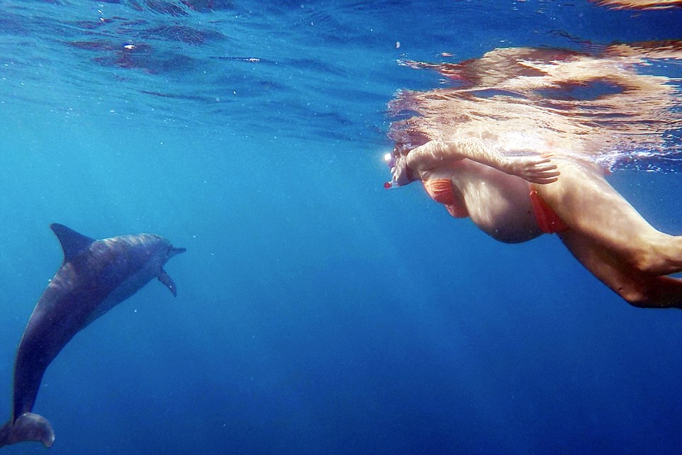dolphin assisted birth dolphin assisted birth