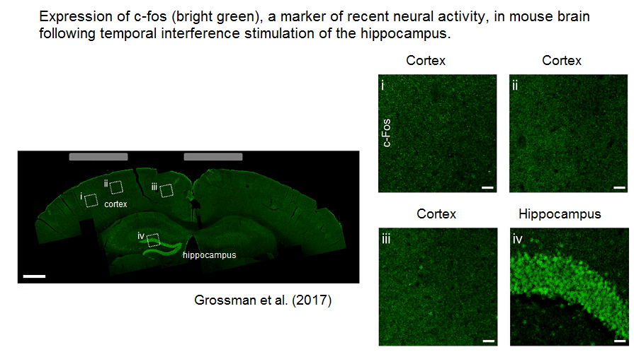 grossman_cfos