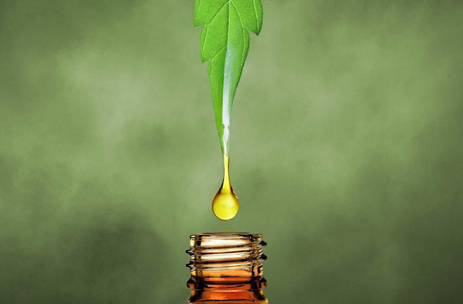 Best CBD Oil Brands 2020 – Real Companies & Products - Cannabis News - San Antonio - San Antonio Current