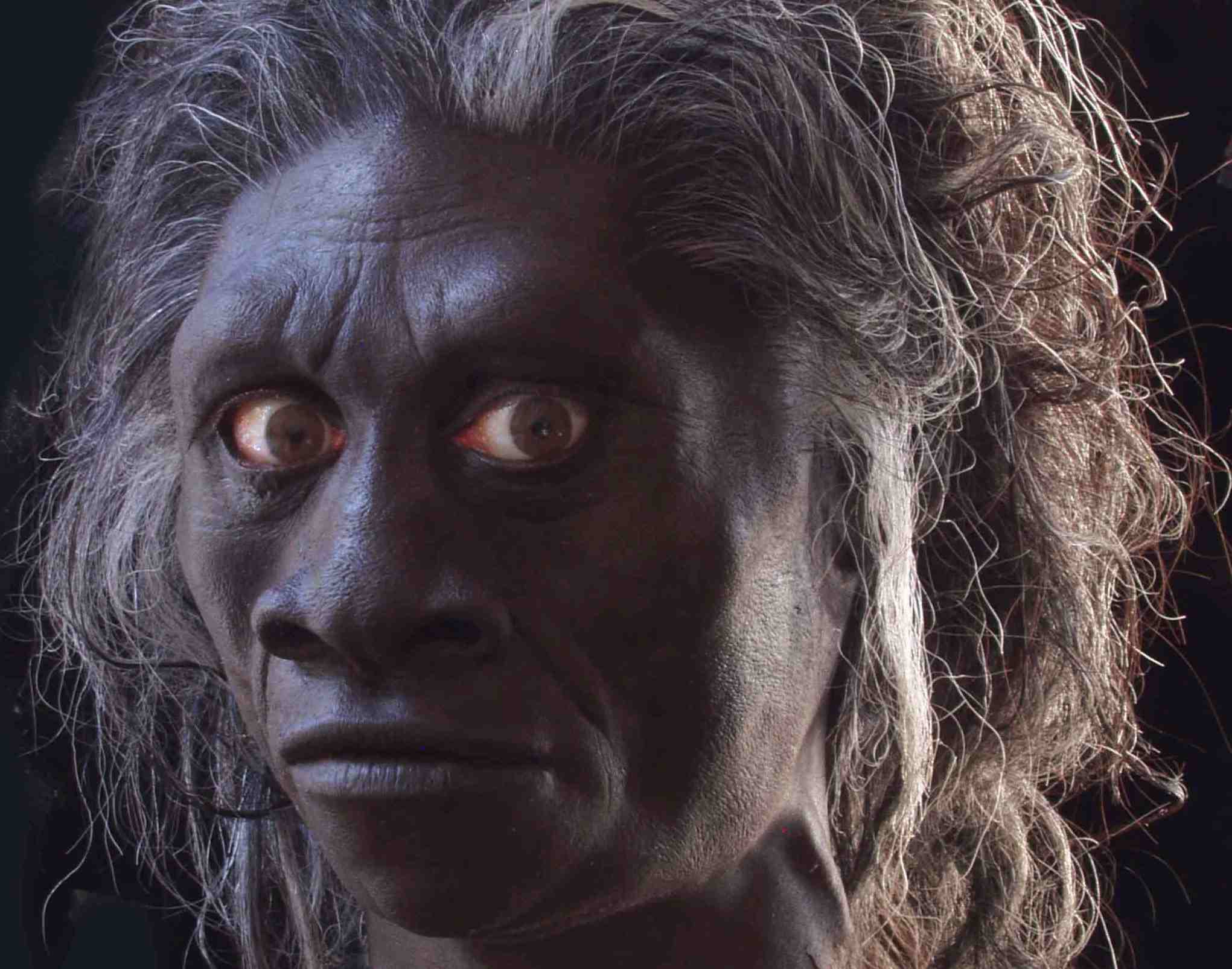 hobbit%20head-lo.jpg