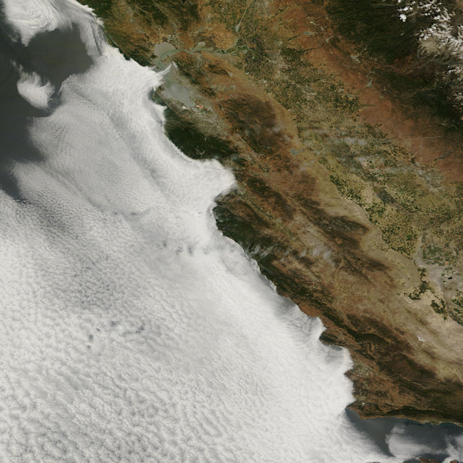 California-marine-stratus.jpeg
