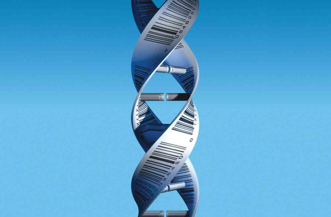 DNA - Science Source - DSC-BI0516_01.jpg
