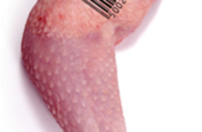 chicken-barcode-175.jpg