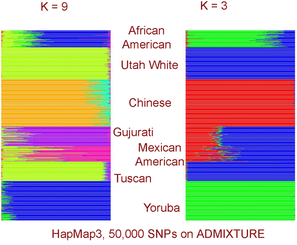 admixhapmap3.png