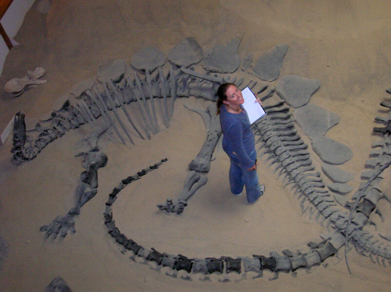 P-maidment-and-stegosaurus 0
