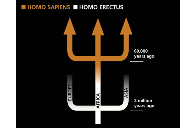 recent-africa-origin 1