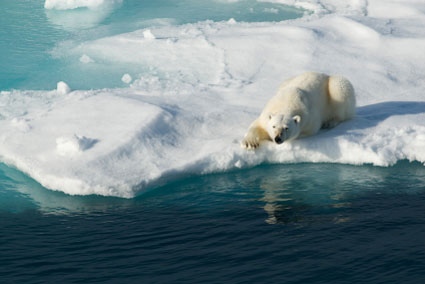 arctic-warming.jpg