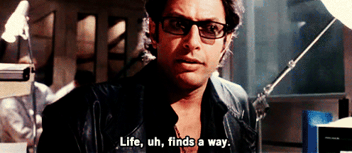 lifefinds.gif