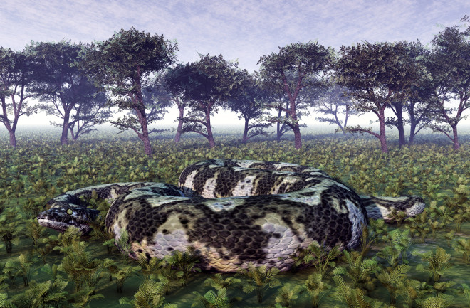 Prehistoric giant snake Titanoboa in a landscape