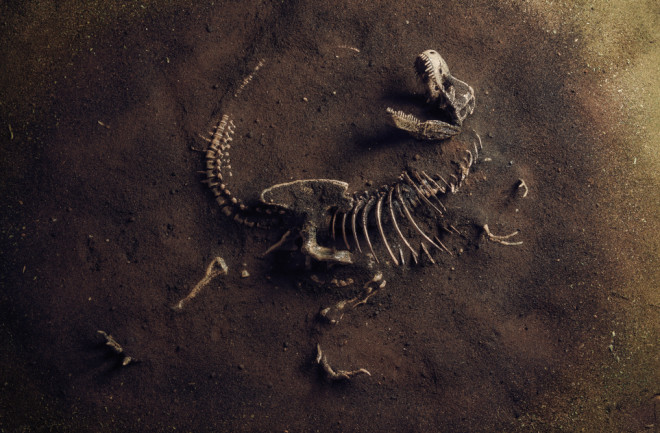 dinosaur bones poking out of the ground - mass extinction concept -- shutterstock 1542671345