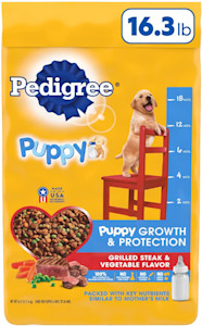 What Puppy Food Is Best