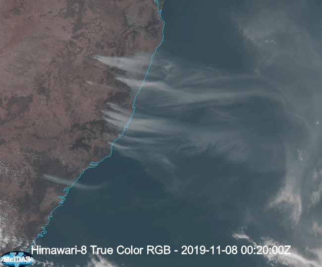 191108 himawari8 trueColorRGB anim