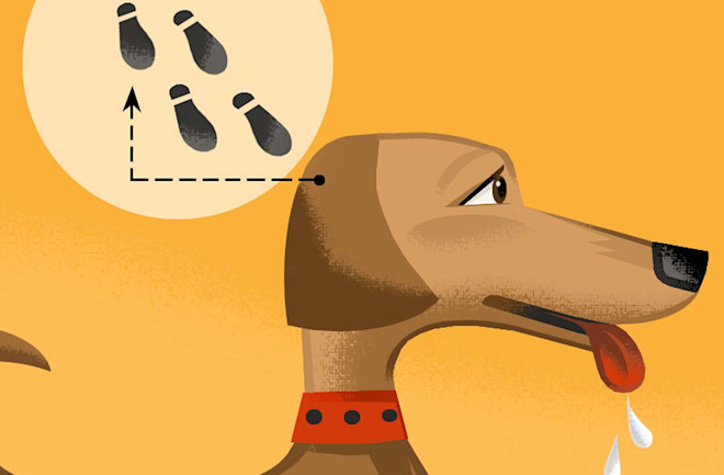 famous science experiments for school Pavlov Dog