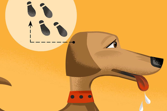 Pavlov Dog