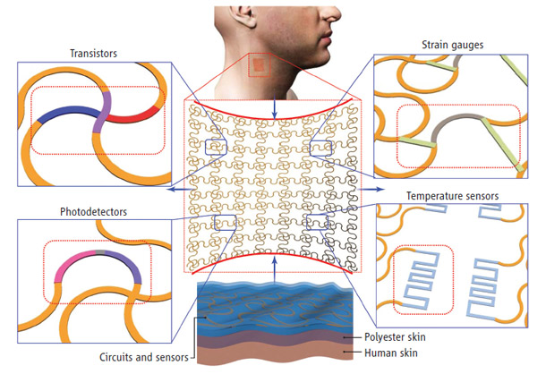Electronic-skin-3.jpg