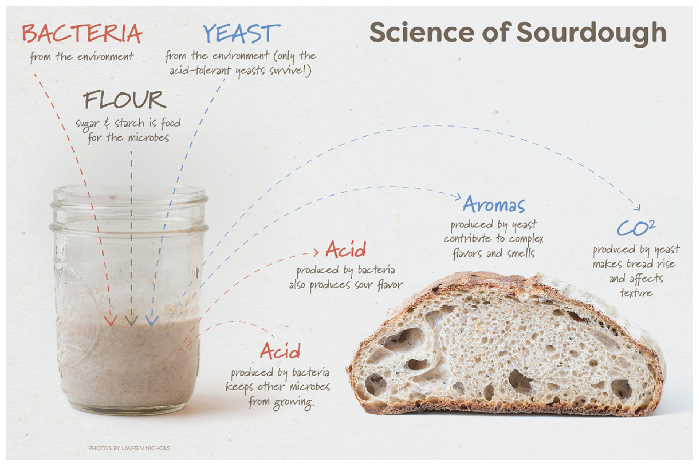 bread