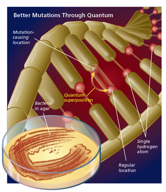 better-mutations