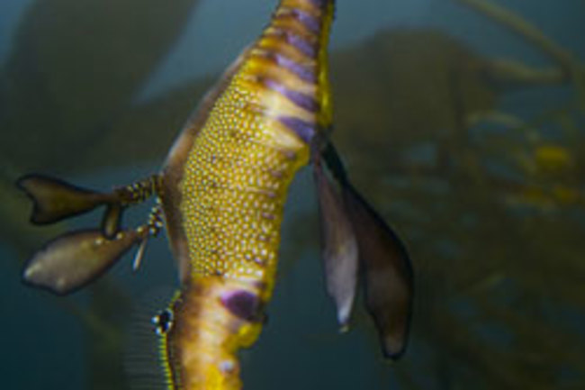 The Best Of Science Culture Discover Magazine