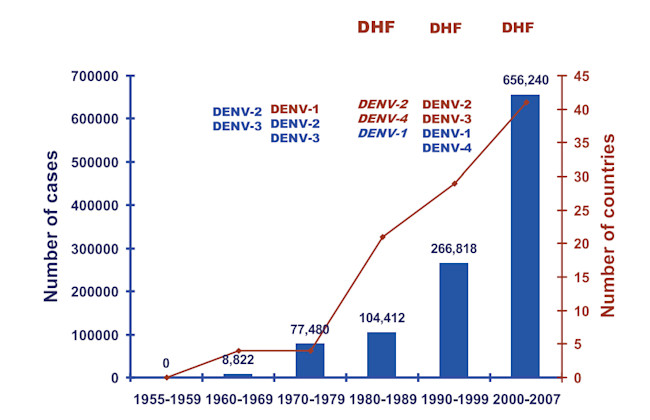 dengue.jpg