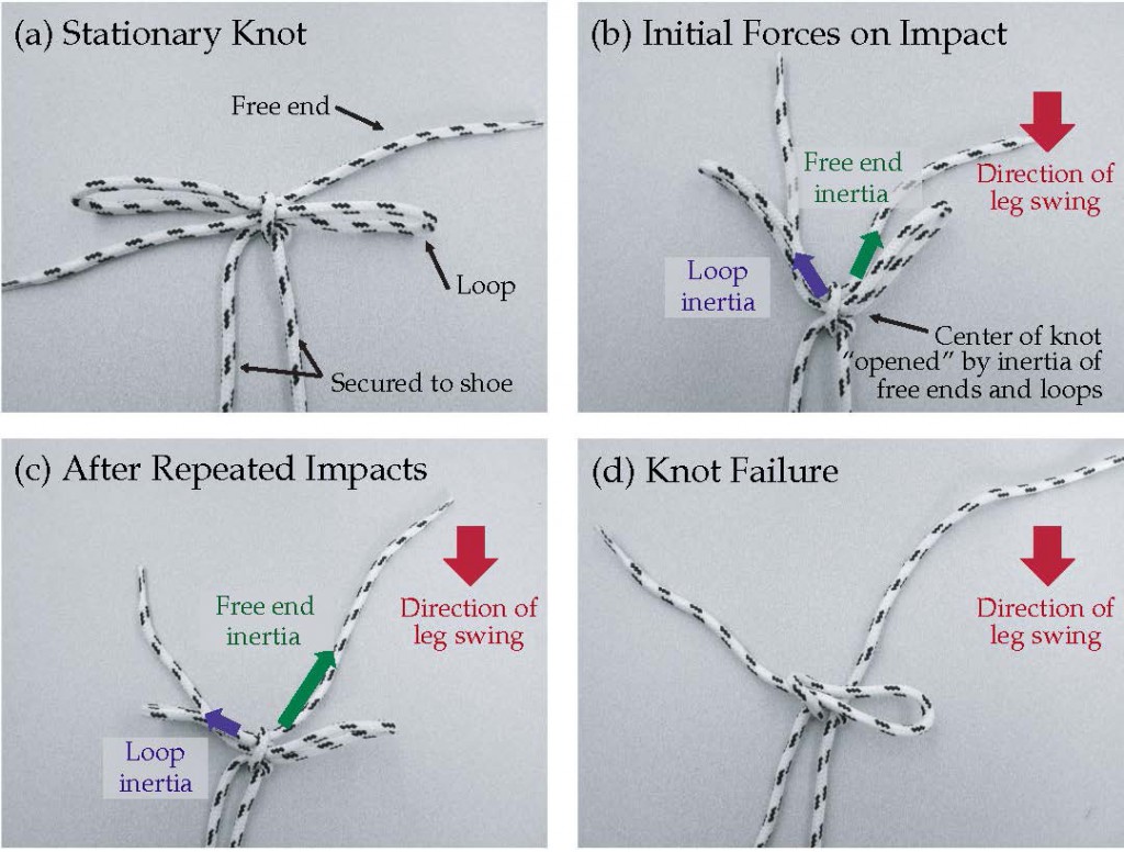 shoelace knots