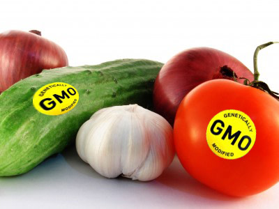 gmofood.jpg
