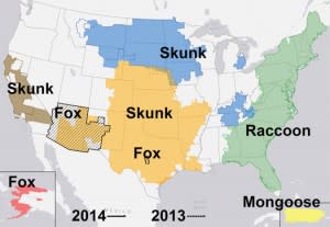 image-300x207.jpg