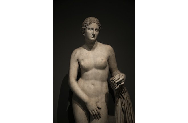 Modest venus - shutterstock