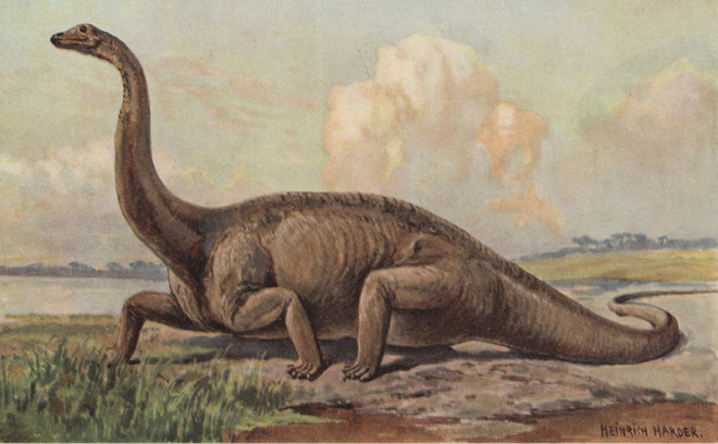 Diplodocus 1916 - Alamy